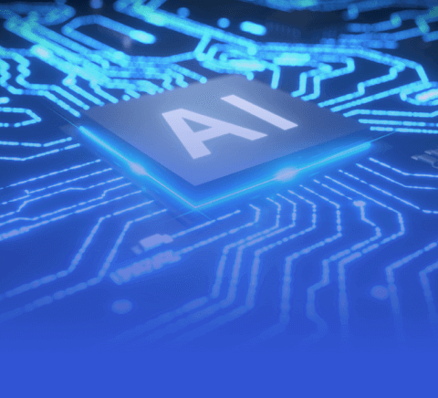 新手入门指南：金年会官方网站入口（干货）